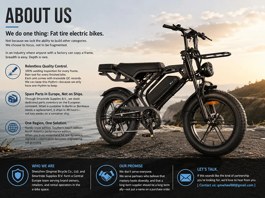 Hacemos una cosa: bicicletas el&eacute;ctricas con neum&aacute;ticos gruesos.