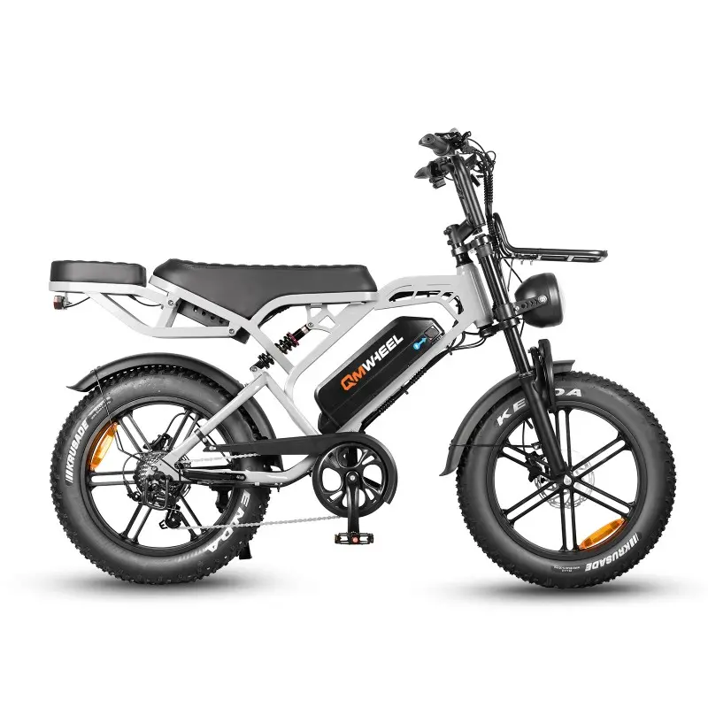 V20Pro