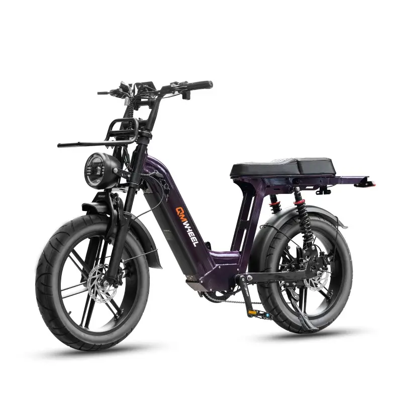 Bicicleta eléctrica urbana con batería de largo alcance Bicicleta eléctrica urbana con batería de largo alcance