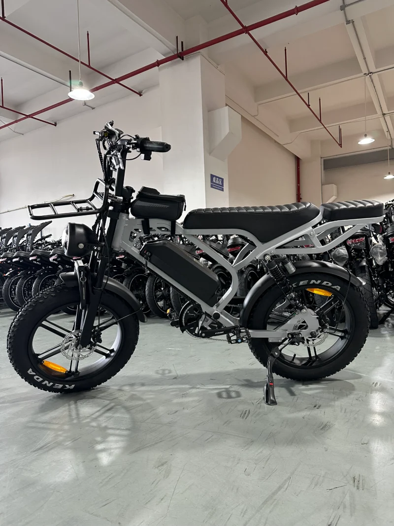 Bicicleta eléctrica todo terreno Fat Tire