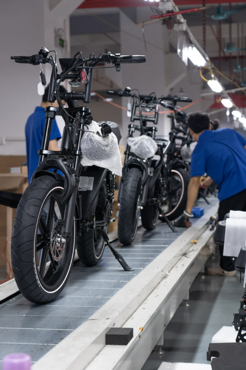 Dise&ntilde;o OEM de bicicleta todoterreno con neum&aacute;ticos gruesos para diferentes demandas del mercado
