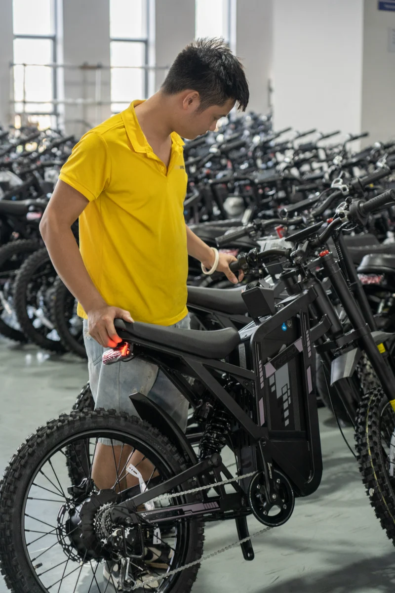 Bicicleta eléctrica todo terreno Fat Tire