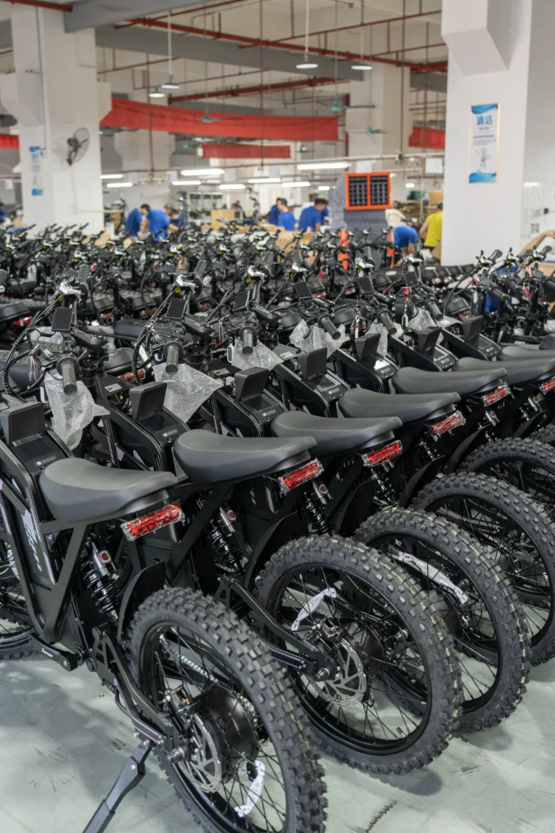 Bicicleta el&eacute;ctrica Fat Tire de doble bater&iacute;a para caminos de grava y aventuras al aire libre