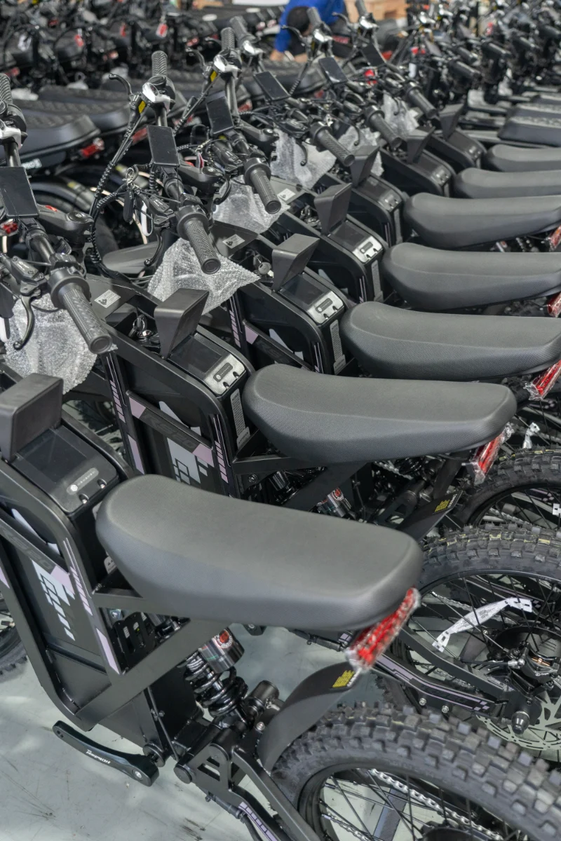 Bicicleta eléctrica con neumático ancho y doble batería