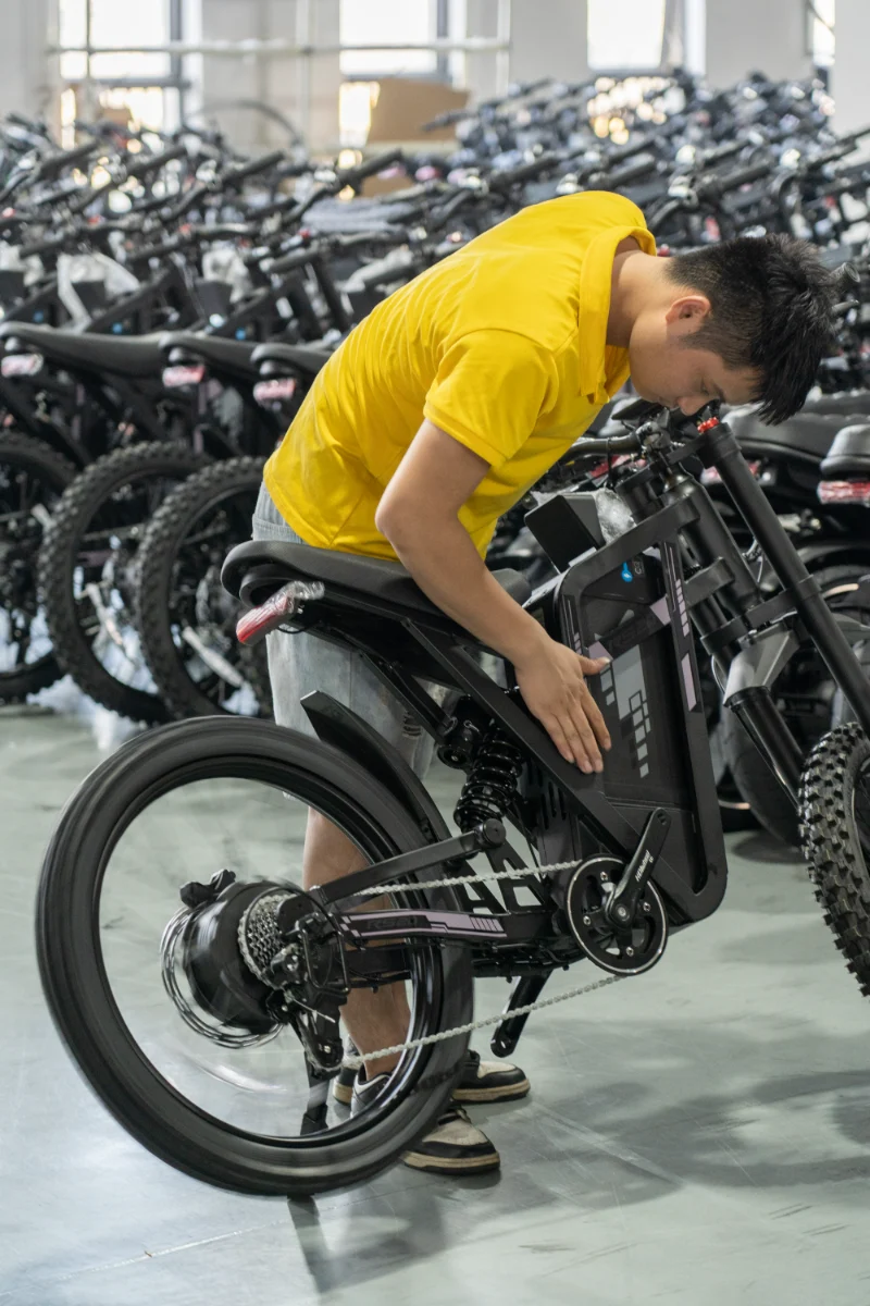 Bicicleta eléctrica con neumático ancho y doble batería