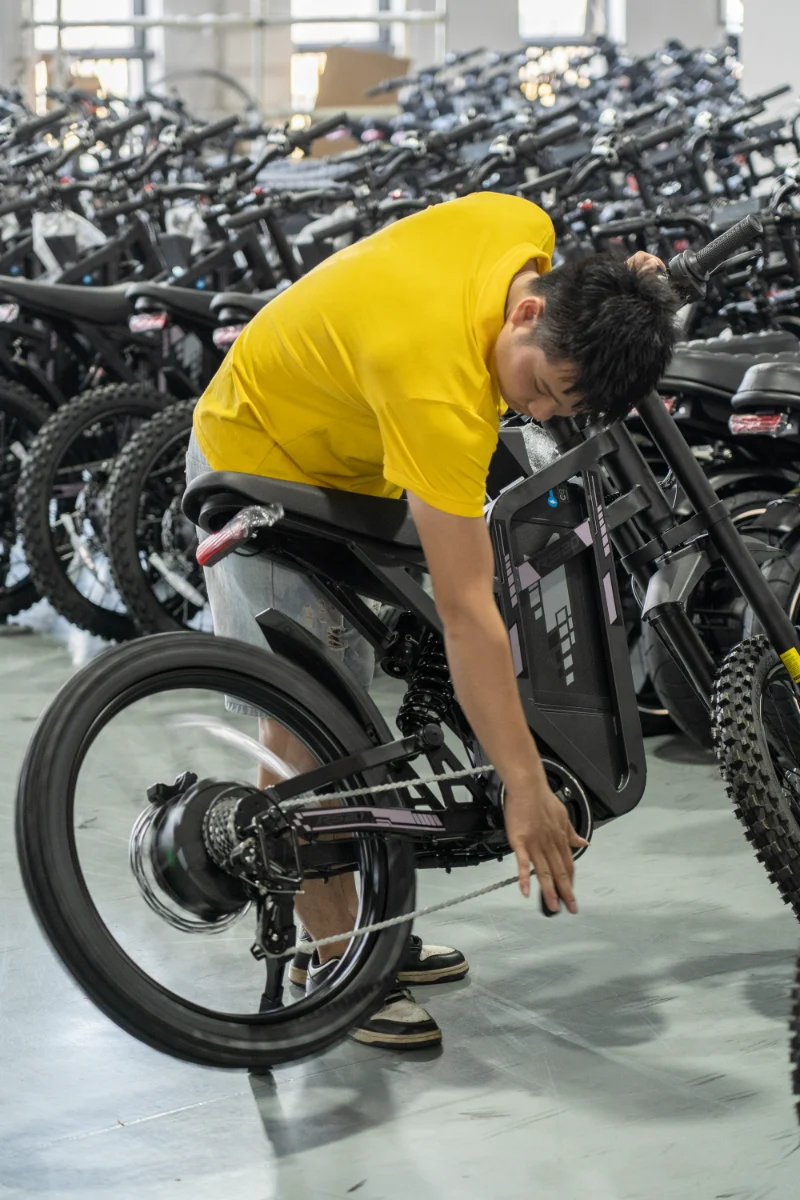 Bicicleta eléctrica con neumático ancho y doble batería