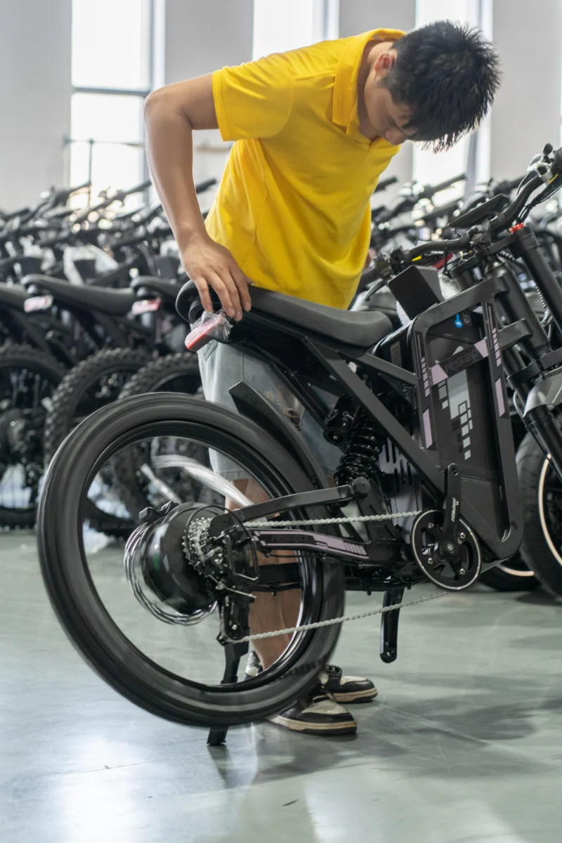 Bicicleta eléctrica con neumático ancho y doble batería
