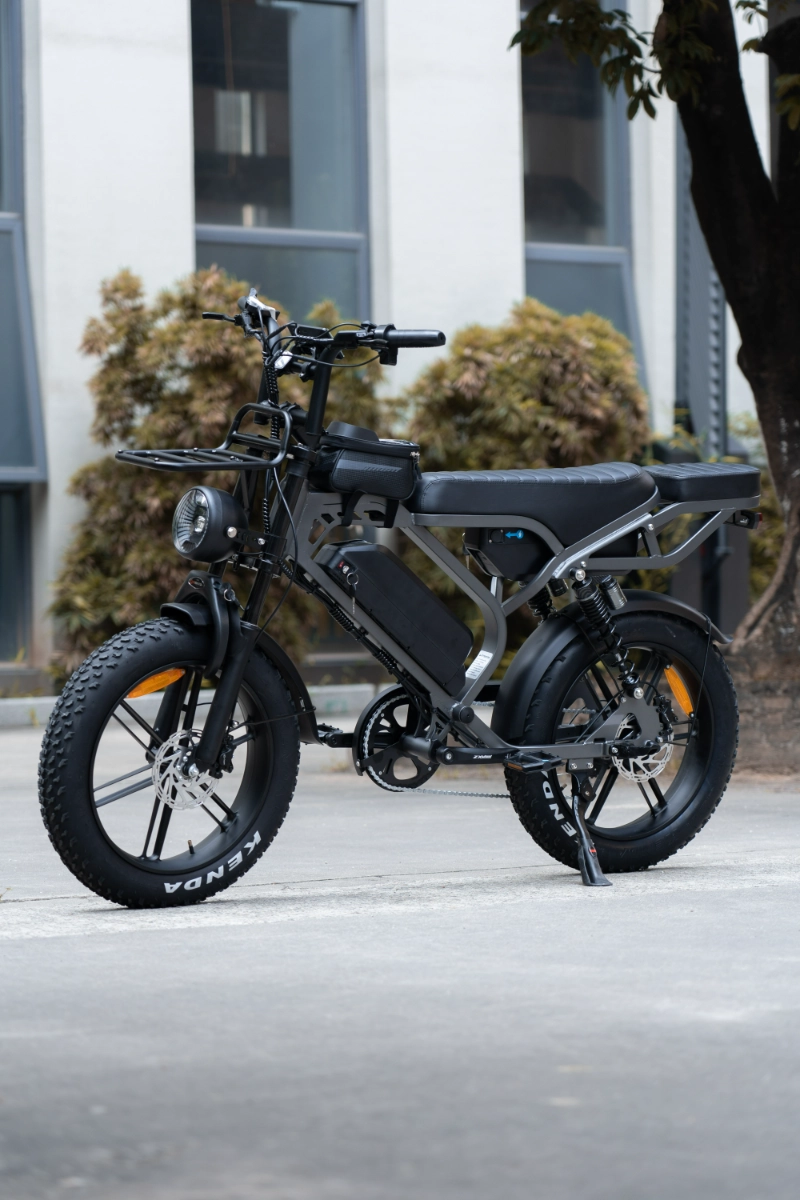 C&oacute;mo las bicicletas el&eacute;ctricas OEM personalizadas con neum&aacute;ticos gruesos ayudan a las marcas a llegar a nichos de mercado