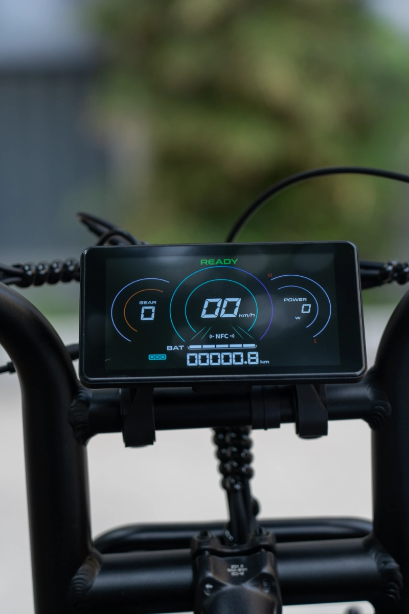 Bicicletas eléctricas con neumáticos gruesos personalizadas OEM Bicicletas eléctricas con neumáticos gruesos personalizadas OEM