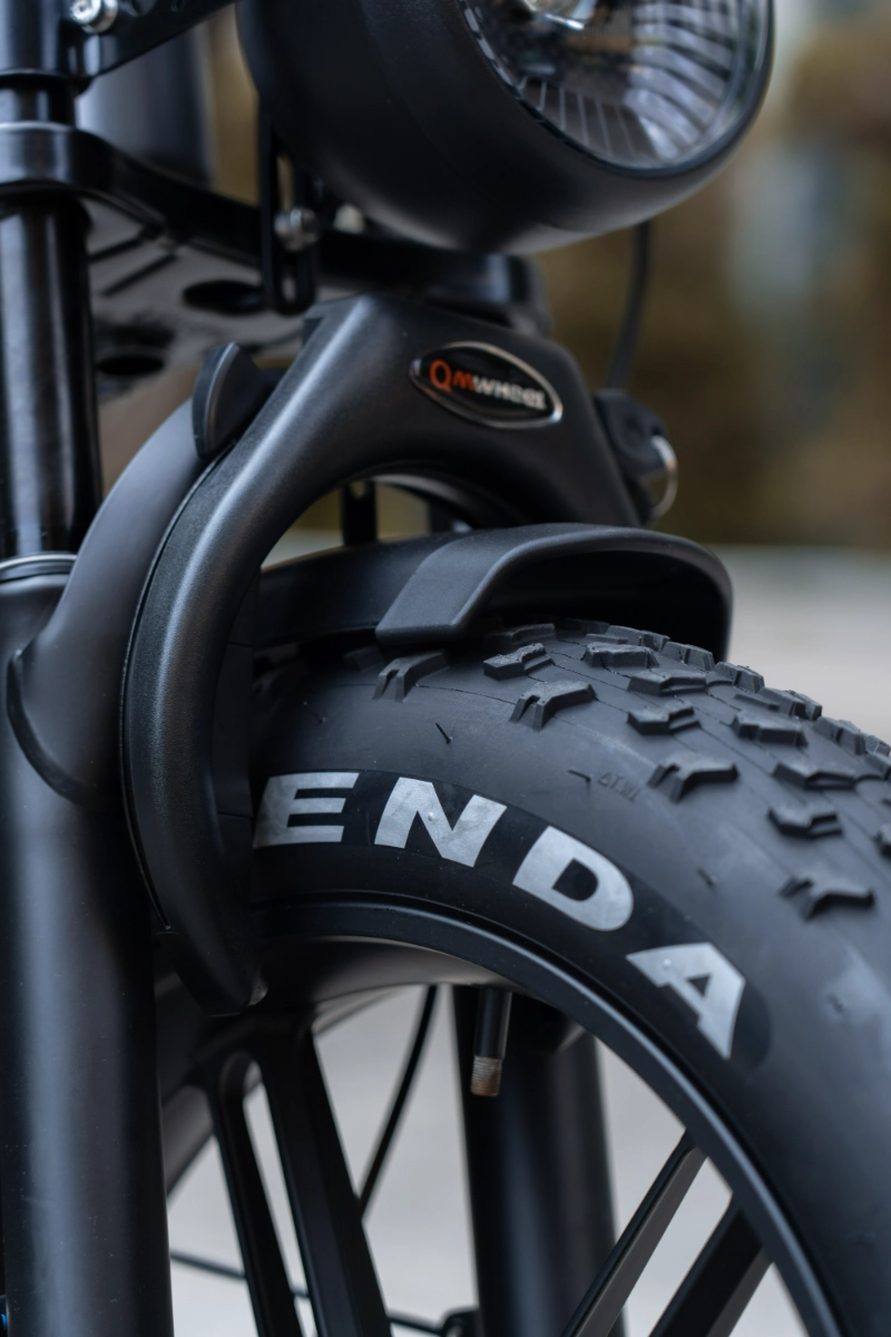 Dise&ntilde;o de Fat Bike el&eacute;ctrica todo terreno para desplazamientos diarios y comodidad todoterreno