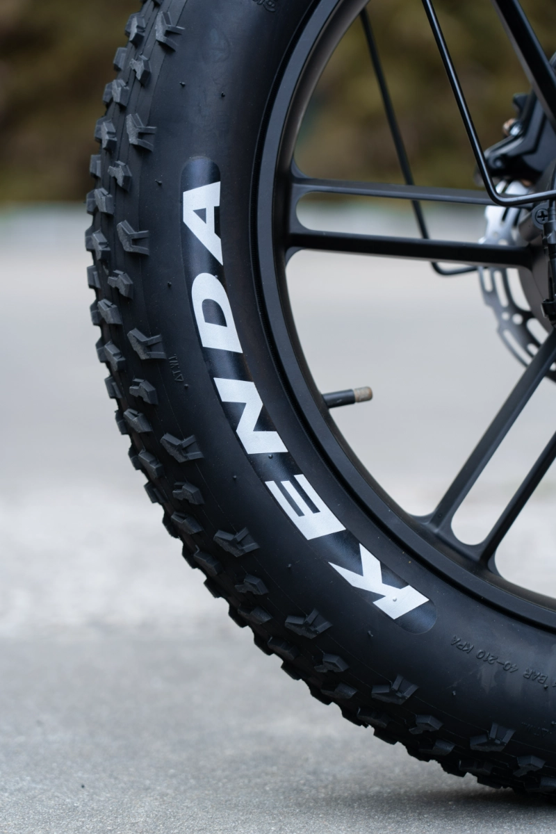 Bicicleta eléctrica con neumáticos gruesos de largo alcance