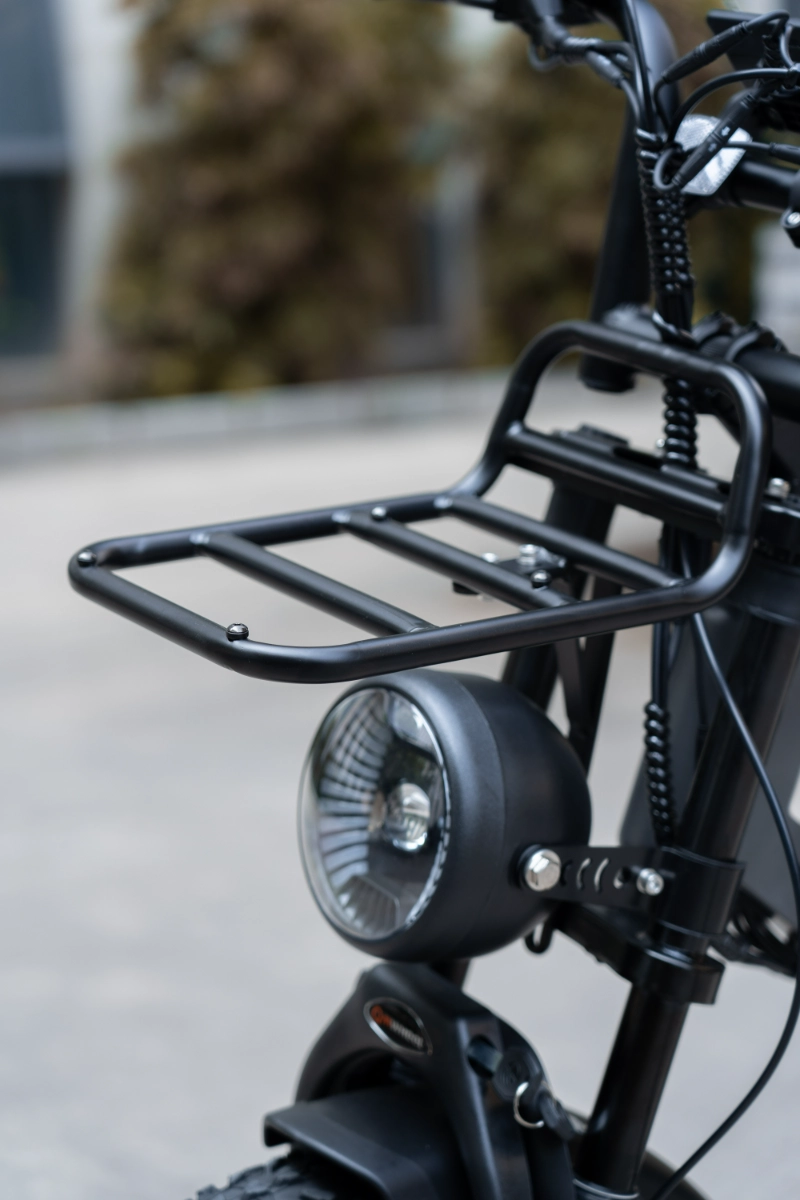 Bicicleta eléctrica con neumáticos gruesos de largo alcance